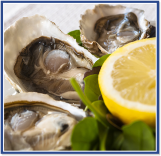 Oysters on Half Shell